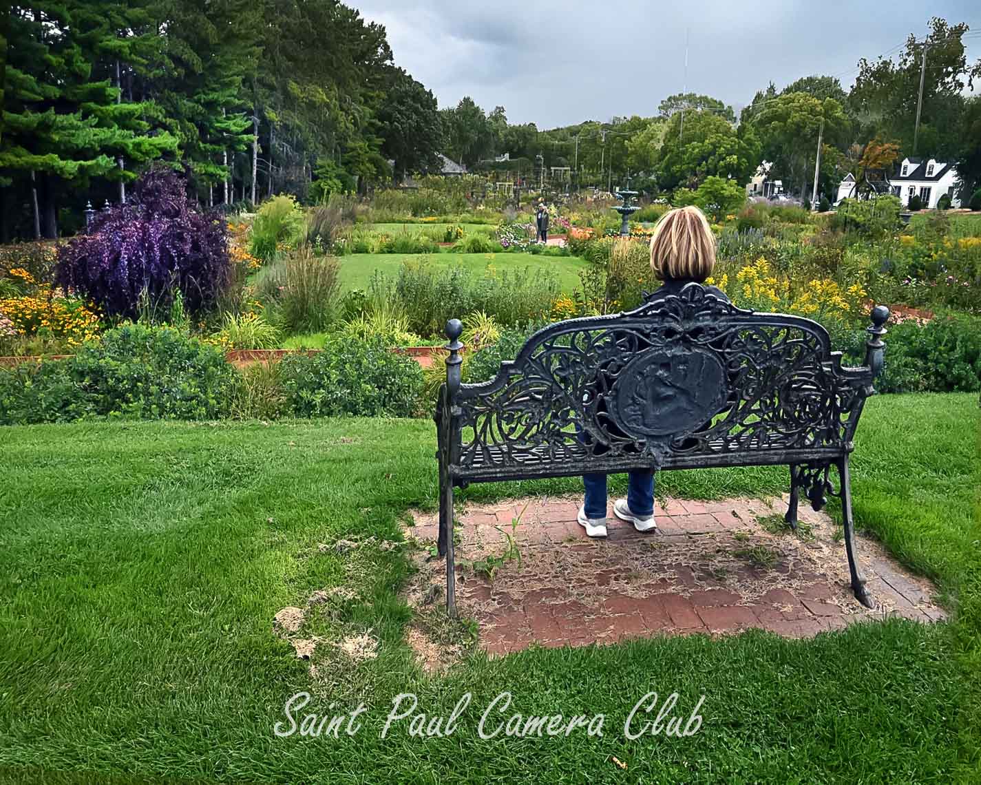 “Peace” by Jean Stauffer (October Color Print Salon)