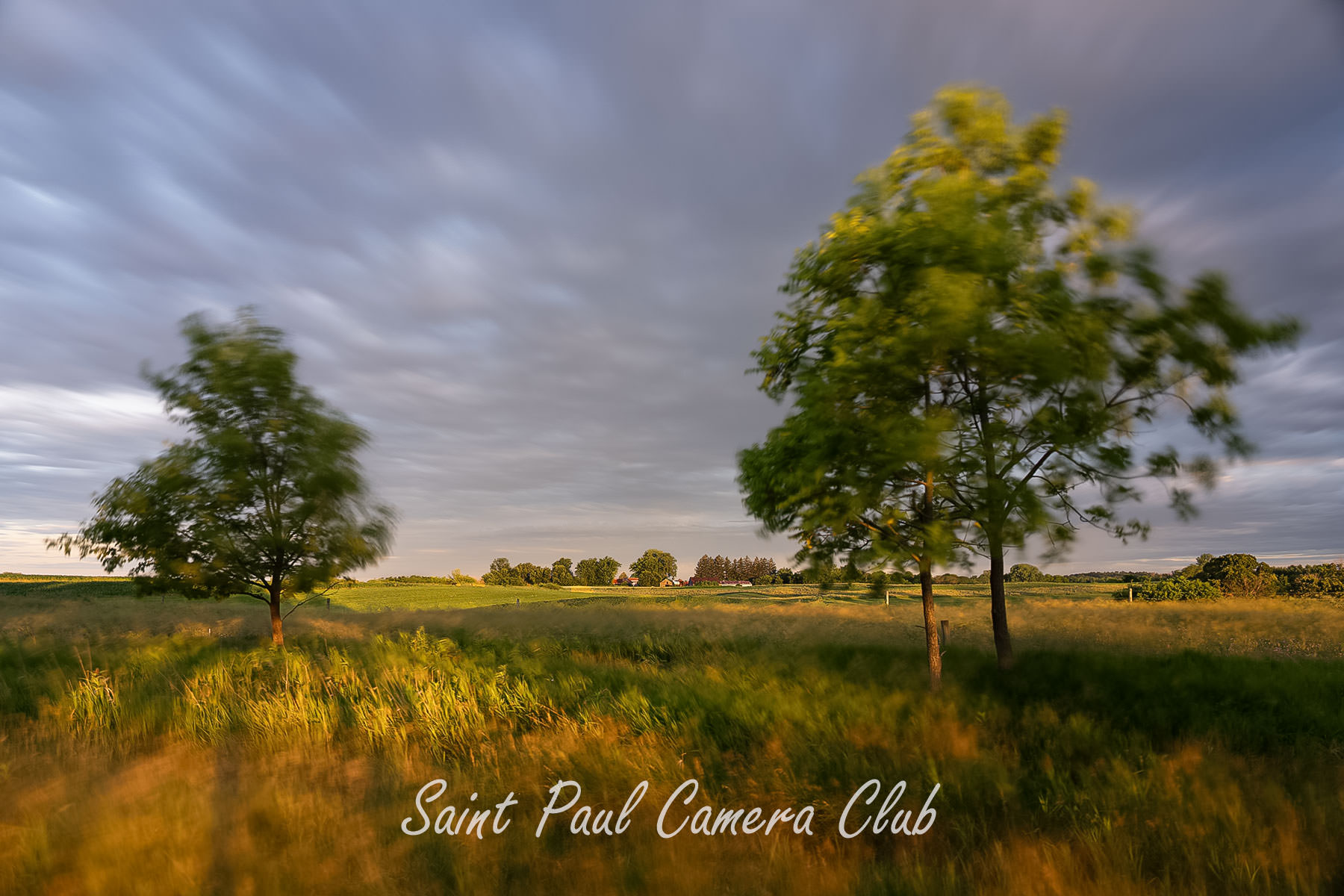 “Restless Wind-Distant Rooster” by David Tincher (October Color Print Salon)