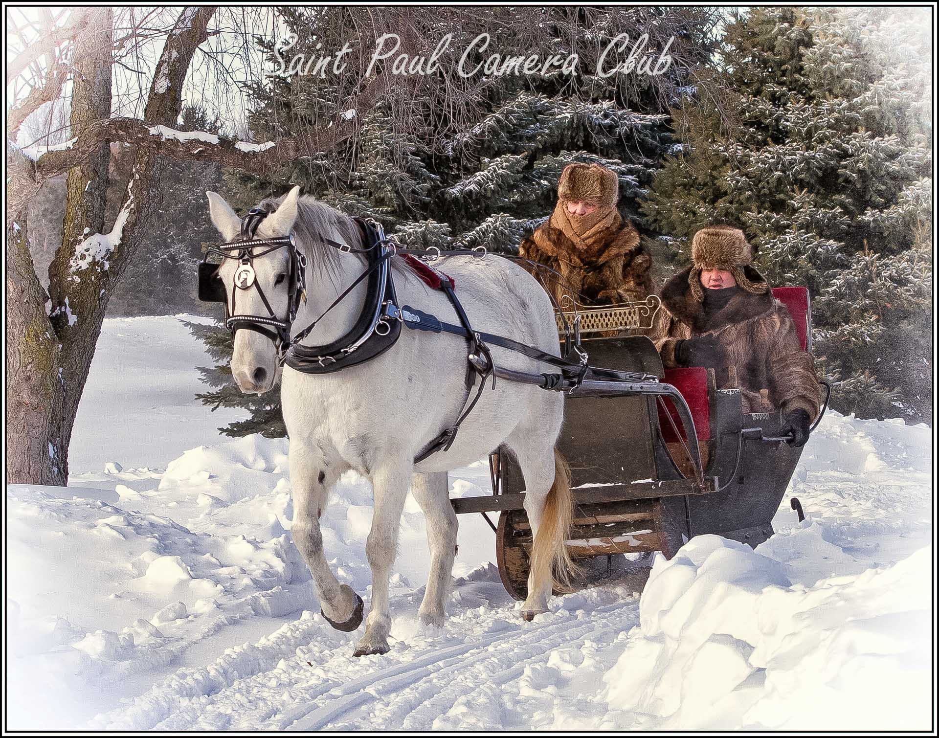 “The Horse Knows the Way” by Ronnie Hartman (October Color Print Salon)