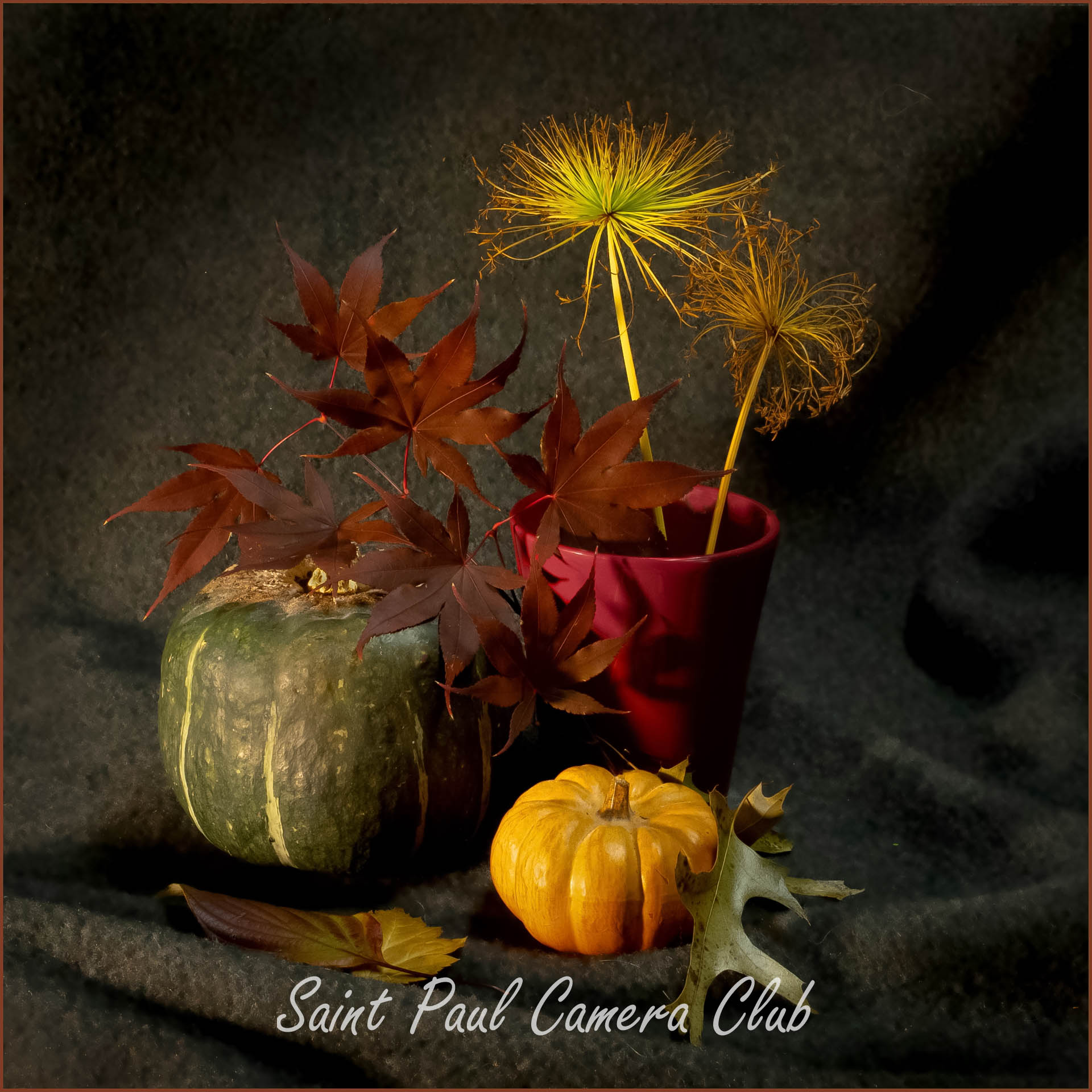 Fall Cluster by Paul Rogne (March Still Life Digital Salon)