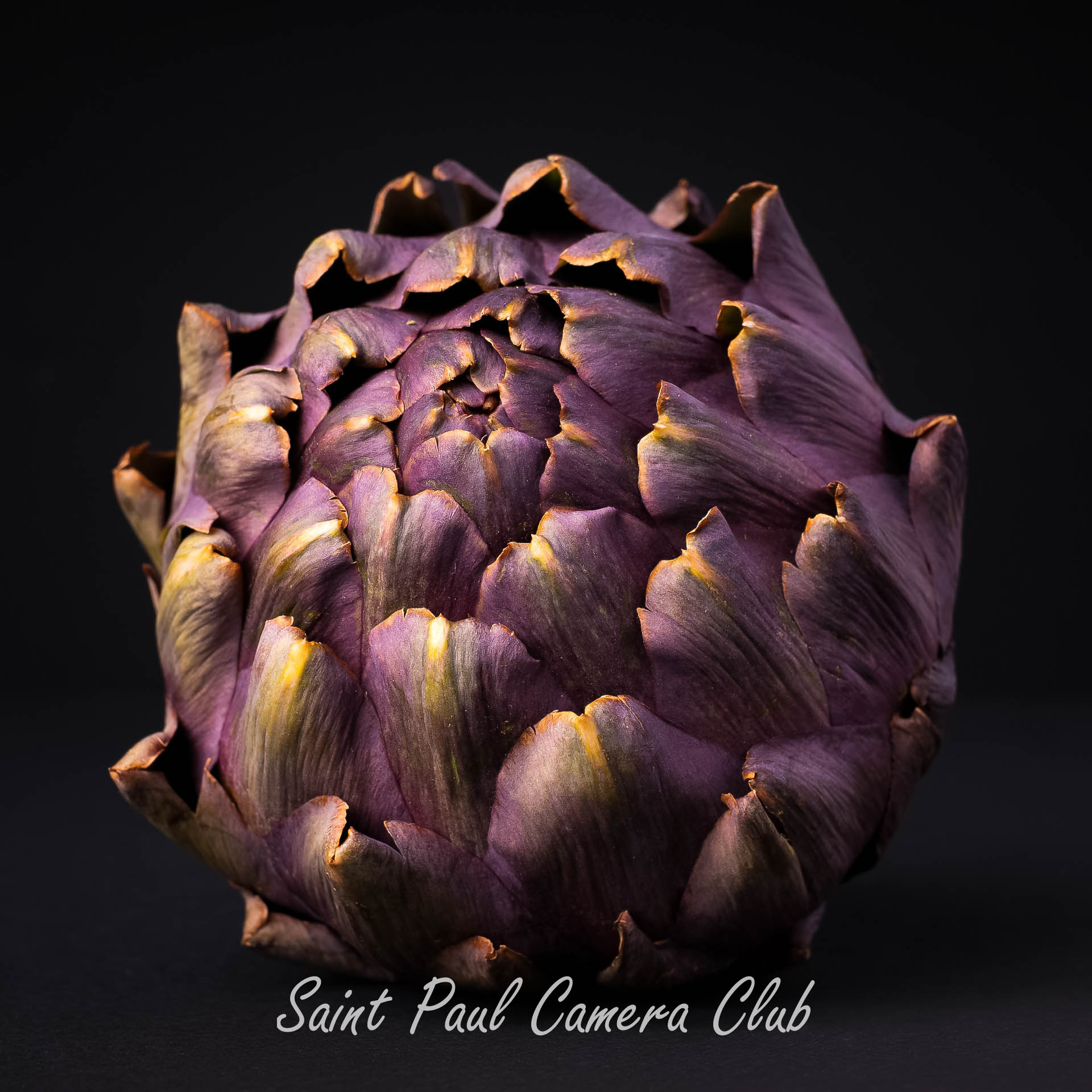 Glowing Purple Artichoke by Carmen Au (March Still Life Digital Salon)