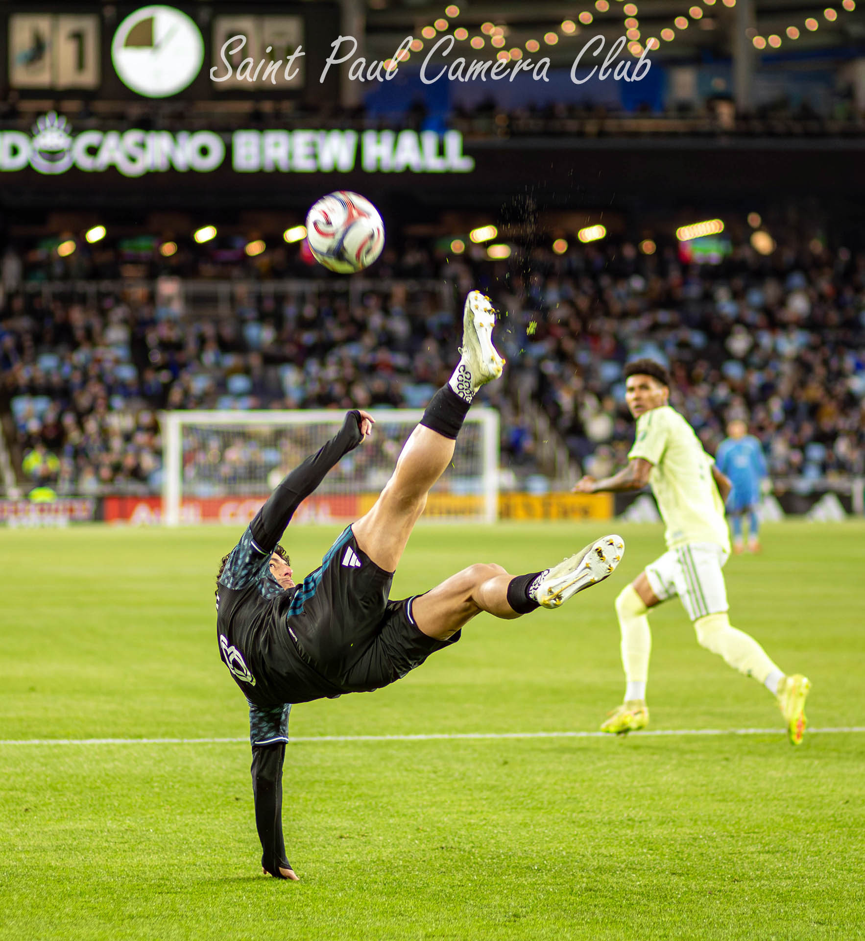 “Loons defend” by Karen Leonard (May Digital Open Salon)