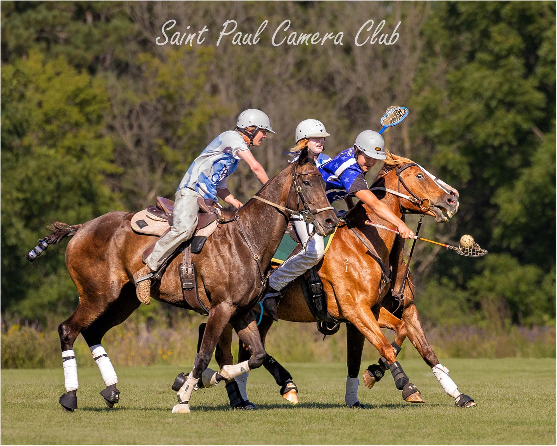 “Polocrosse Battle” by Ronnie Hartman (May Digital Open Salon)